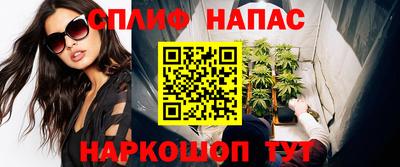 сатива Усть-Джегута