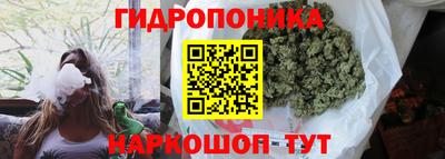 дмт Усть-Илимск