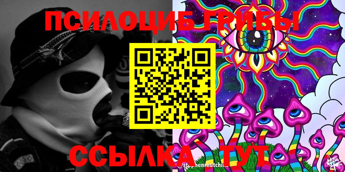 Псилоцибиновые грибы Psilocybine cubensis Минеральные Воды